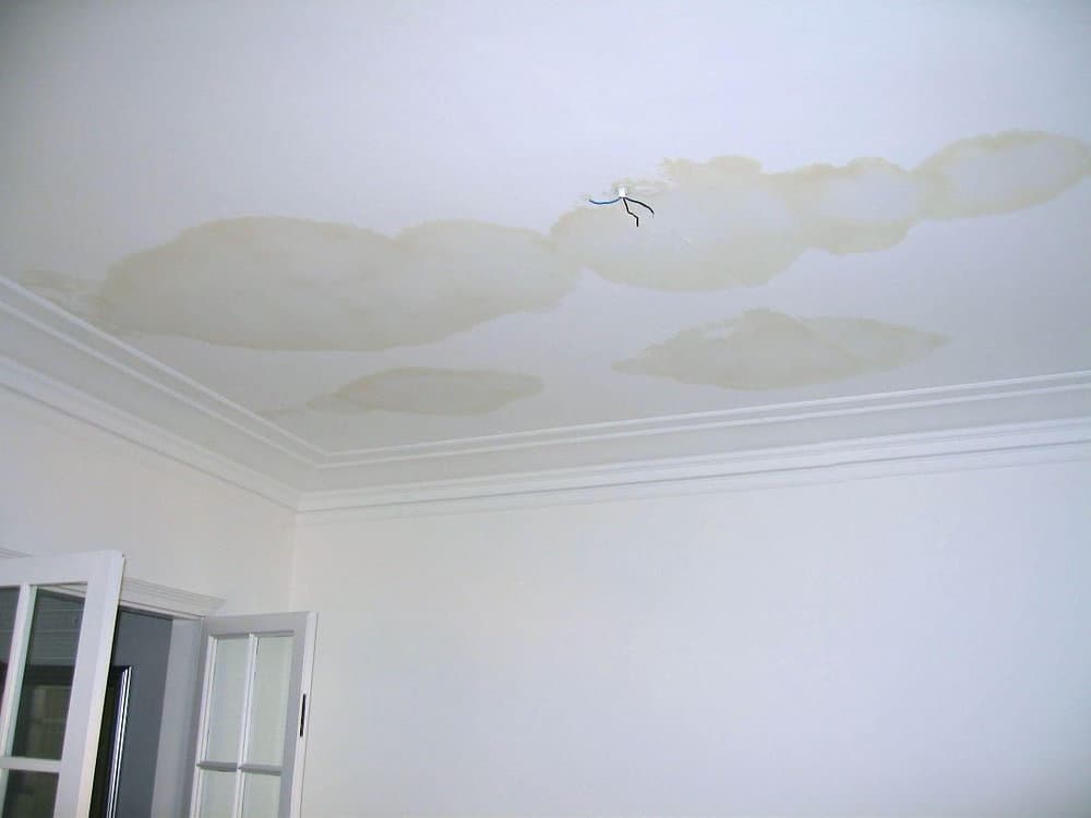 Fix a Water-Damaged Ceiling of a Room