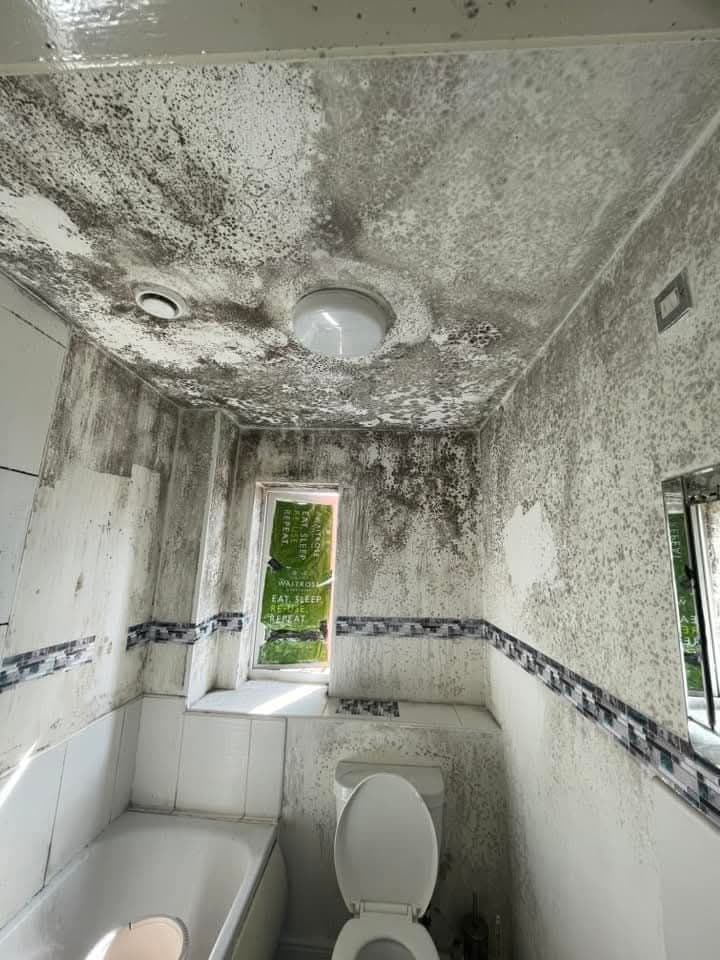 Removing Mold from Bathroom Walls and Ceiling on a Budget

Description of Issue