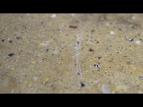 Removing Scratches From Countertops