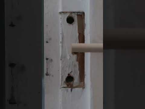 Fix a Loose Hinge in 60 Secs!