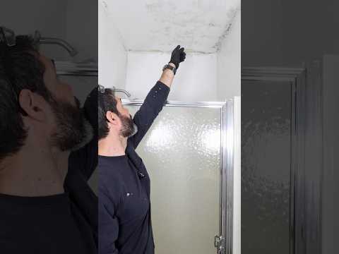 Mildew Ceiling Solution - #shorts #homerepairtutor