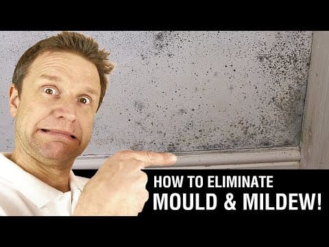 How to Paint over Mould &amp; Mildew